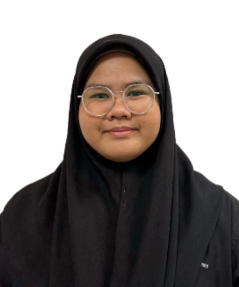 Lead Developer Profile